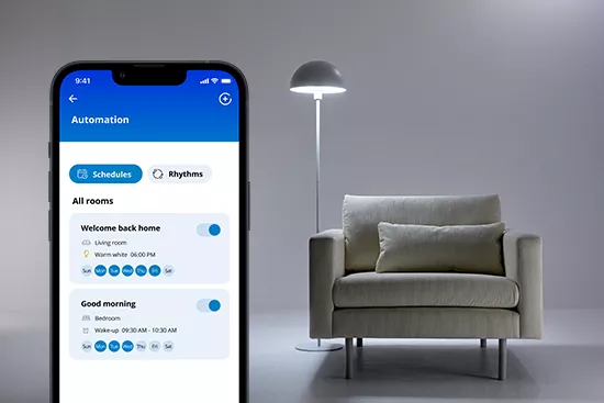 Розумна розетка WiZ Smart Plug з підтримкою Matter (2300W) 8719514866317 фото