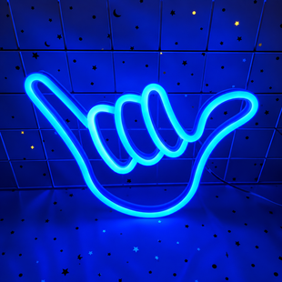 Неоновий LED світильник &laquo;Чиназес&raquo; блакитний на батарейках/USB 22х23 см neon_chill_Blue фото