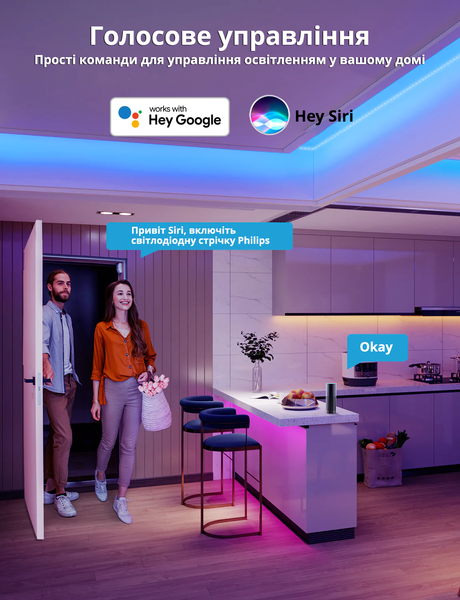 Подовжувач світлодіодної стрічки Philips Hue Gradient Lightstrip White and Color, Bluetooth, Apple HomeKit, 1 метр 929002995001 фото