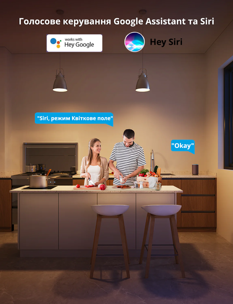 Розумні LED лампочки Philips Hue E27 White Ambiance 800лм 60Вт 9W, ZigBee, Bluetooth, Apple HomeKit, 4шт. 929002216901 фото