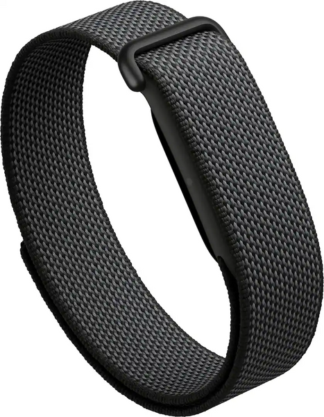 Google Fitbit Air Obsidian 840353943346 фото