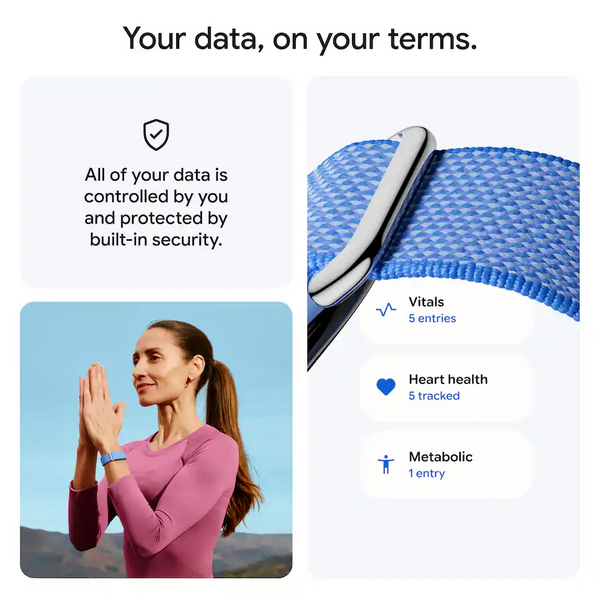 Google Fitbit Air Obsidian 840353943346 фото