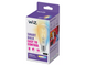 Умная лампа WiZ Filament ST64 E27 White Ambiance 7W 806лм Wi-Fi, Matter, Bluetooth 8718699787172 фото 1