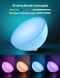 Розумний портативний світильник Philips Hue Go v2 White and Color, ZigBee, Bluetooth, Apple HomeKit 915005822601 фото 7