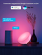 Розумний портативний світильник Philips Hue Go v2 White and Color, ZigBee, Bluetooth, Apple HomeKit 915005822601 фото 8