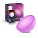 Розумний портативний світильник Philips Hue Go v2 White and Color, ZigBee, Bluetooth, Apple HomeKit 915005822601 фото 1