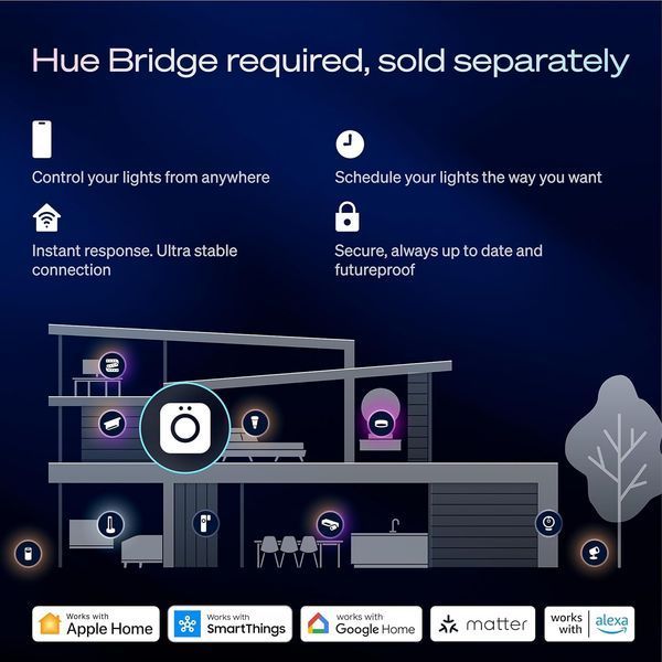 Напольный светильник Philips Hue Play Compact RGBICW 8721103144911 фото