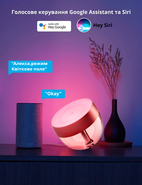 Умный светодиодный светильник Philips Hue Iris Bluetooth White and Color цвет - Бронза 929002376801 фото